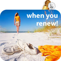 Online Travel Cover