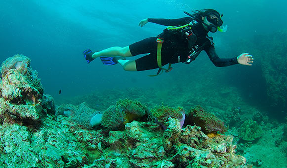 Scuba diving insurance, onlinetravelcover.com