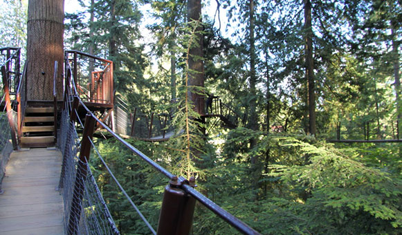 Tree top canopy walking travel insurance, onlinetravelcover.com