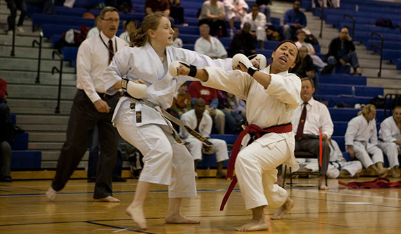 Karate insurance, onlinetravelcover.com