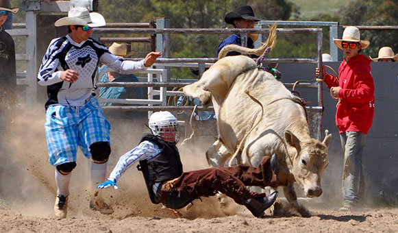 Bull riding insurance, onlinetravelcover.com