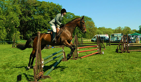 horse jumping insurance, onlinetravelcover.com